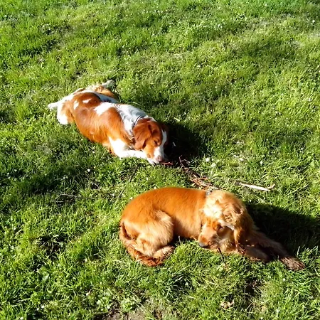 Apartmán Carrera Sofie