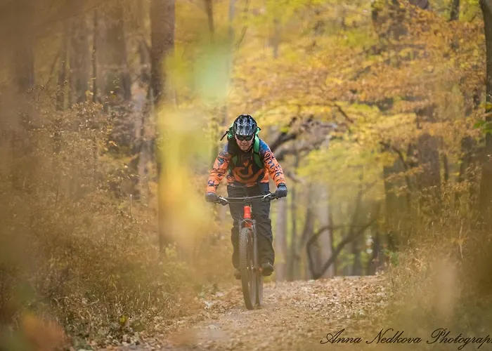 Carrera Appartamento